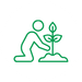 Tree Planting