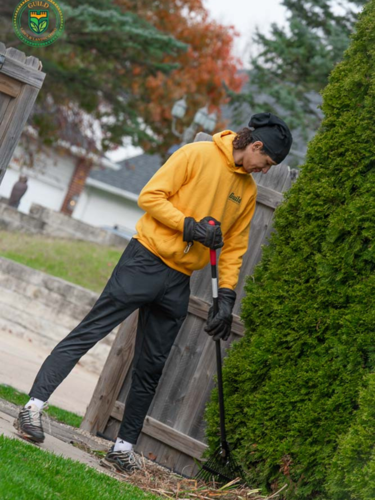 lawn fertilization and weed control