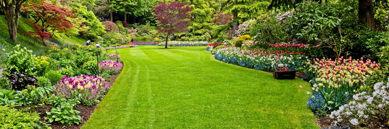 Common Landscaping Mistakes to Avoid