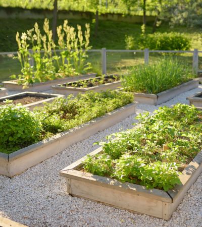 Garden Bed Design