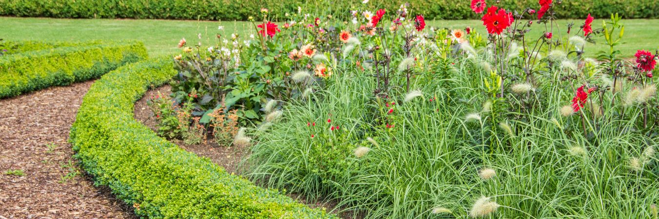 How Mulch Protects Your Landscape Throughout the Seasons