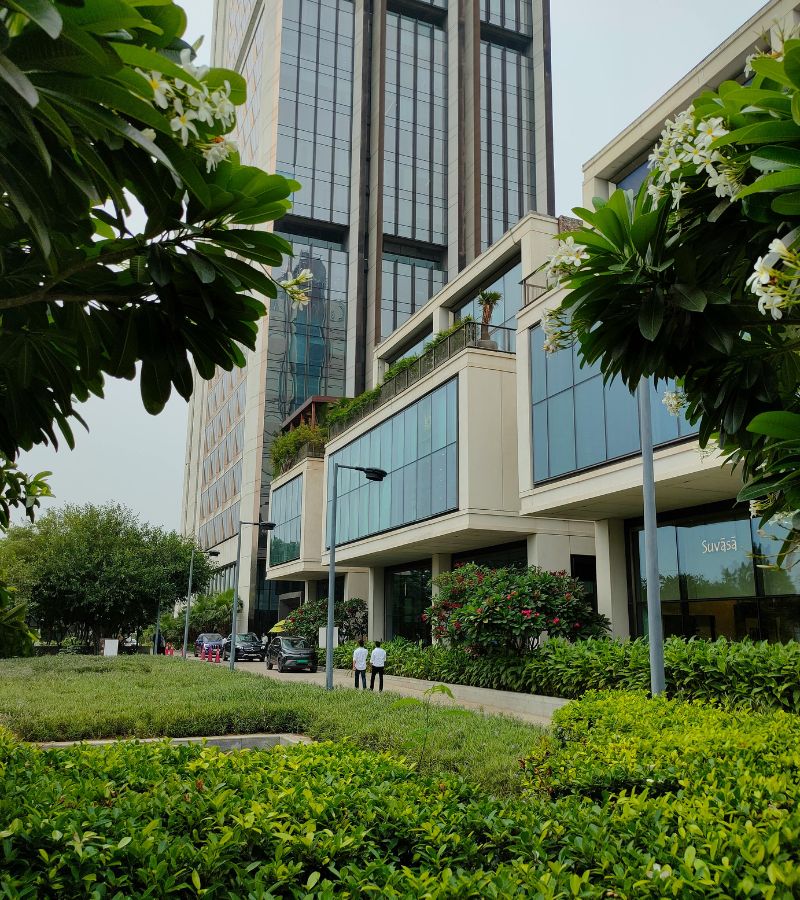 Landscape Design Around Business