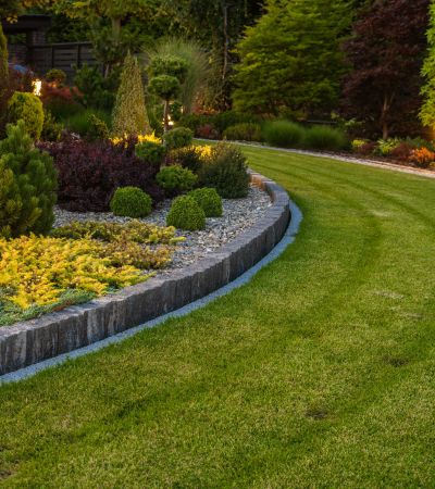 Landscape Renovation Design