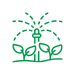 irrigation